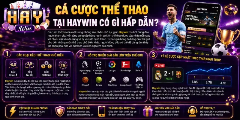 Haywin - Nhà Cái Giải Trí Thể Thao Cá Cược Uy Tín Số #1 2026 Cá cược thể thao tại Haywin có gì hấp dẫn?